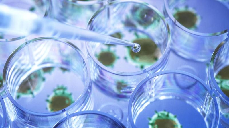 En bulaşıcı korona mutasyonu: AY 4.2 nedir, nerelerde görüldü?