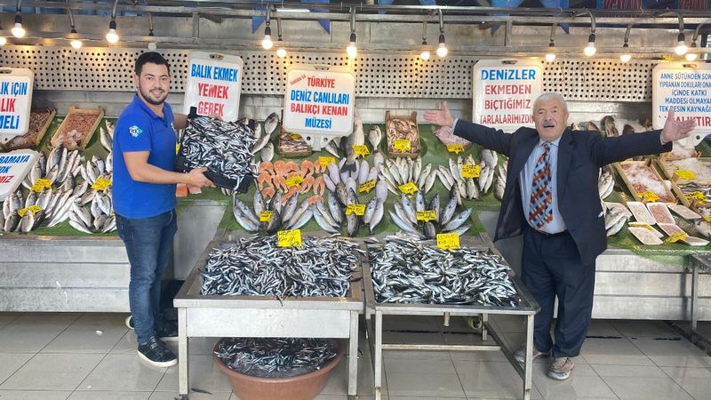 Beylikdüzü'nde hamsi, 10 liradan satılıyor