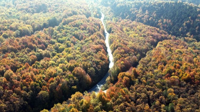 Gölcük Tabiat Parkı'ndan sonbahar manzaraları