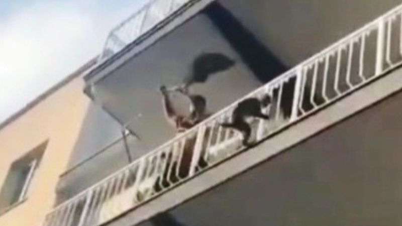 Aydın'da evden kaçan maymun kamerada