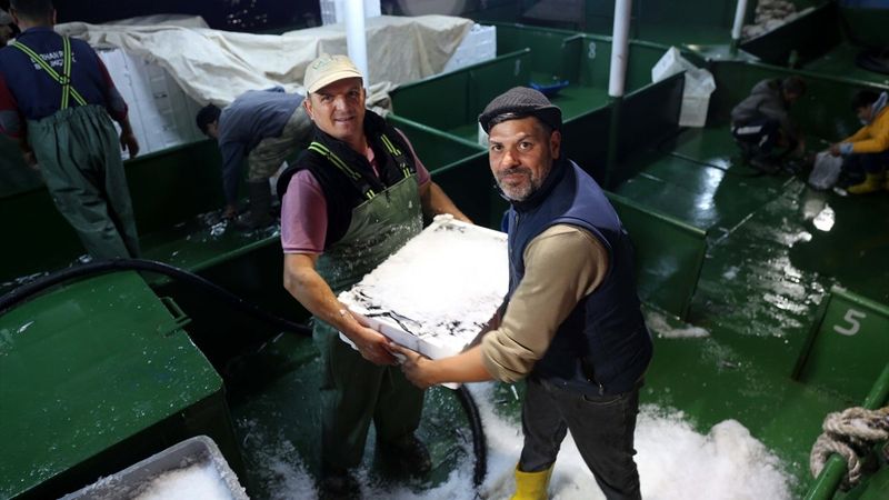 Karadeniz'de hamsi, yüzleri güldürüyor