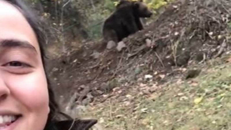Artvin'de ayı ile selfie çekti