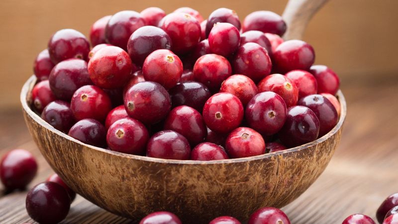 Süper besin kızılcıkların 5 faydası