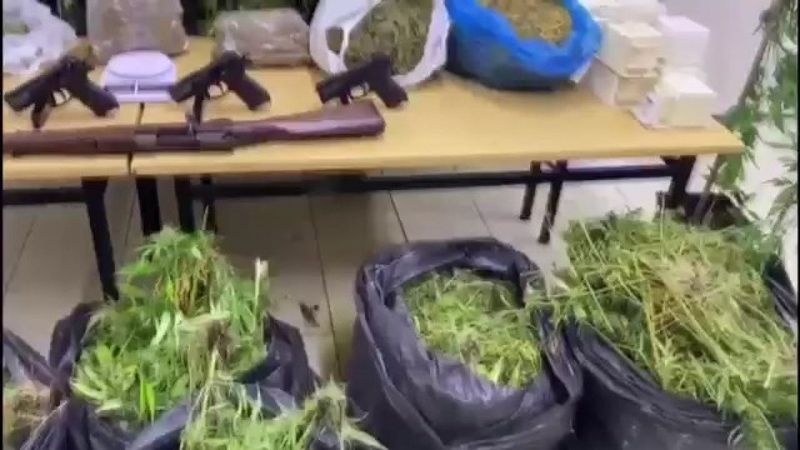 Silivri'de bal üretimi yaptığını söyleyen şahsın uyuşturucu serası çıktı