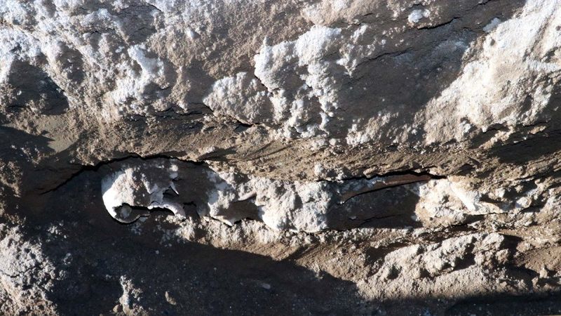 Kayseri'deki kentsel dönüşüm alanından iskelet çıktı