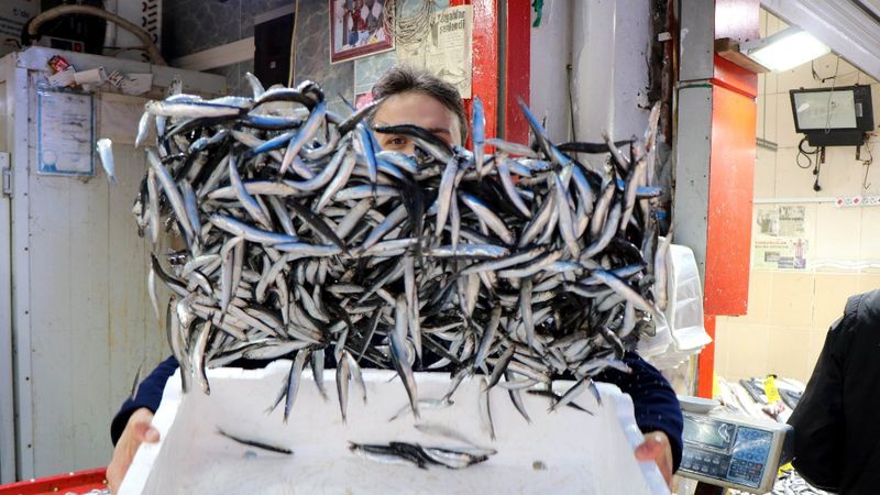 Karadeniz’in en ucuz balığı 7 TL, en pahalısı 150 TL