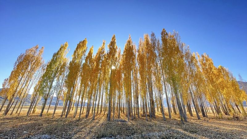 Ovacık, sonbahar renkleriyle görenleri büyülüyor