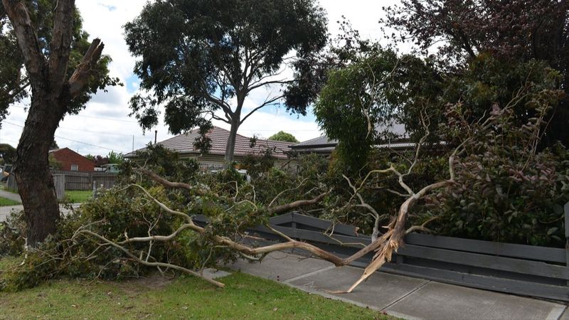 Avustralya’da şiddetli rüzgar evleri elektriksiz bıraktı