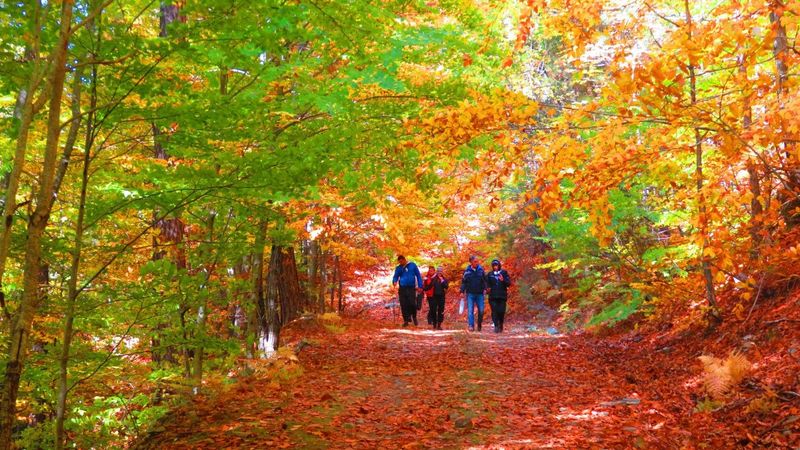 Kazdağları sonbahar renklerine büründü