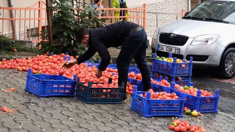 Kağıthane’de, kazadan sonra sağlam kalan domatesleri ayıkladı