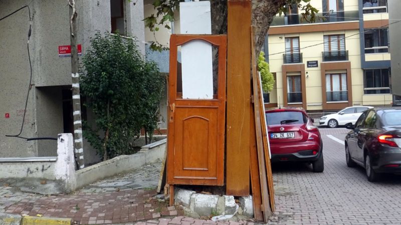 Avcılar'da 60 yıllık çınara ahşap kapılı koruma