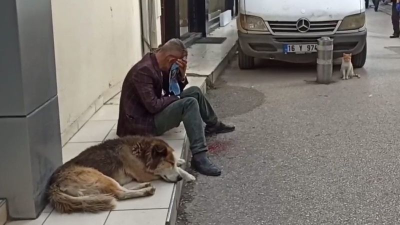 Bursa'daki köpek, yaralı sahibini bir saniye bile yalnız bırakmadı