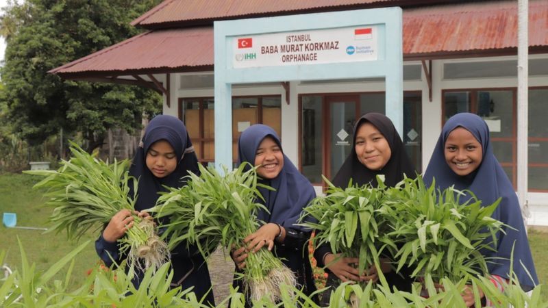 İHH, Endonezya'daki yetimlere topraksız tarım eğitimi veriyor