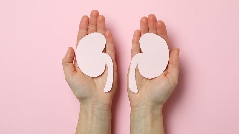 Böbreklerinize iyi gelecek 9 idrar söktürücü gıda