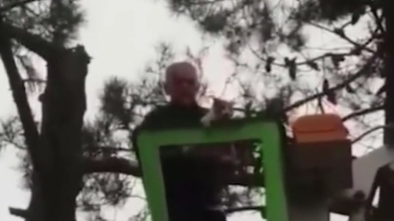 Ağaçta mahsur kalan kediyi Çekmeköy Belediye Başkanı Ahmet Poyraz kurtardı