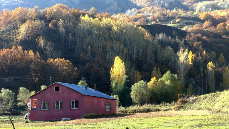 Muş'ta sonbahar, kartpostallık görüntüler oluşturdu