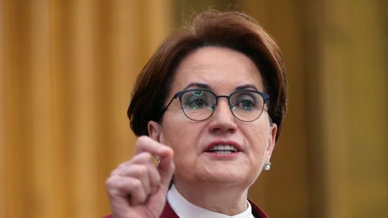 Meral Akşener, şehit ağabeyine 'ahlaksız' dedi