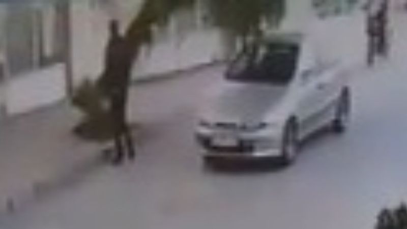 İzmir'de bir kişi devrilen ağaçtan kıl payı kurtuldu