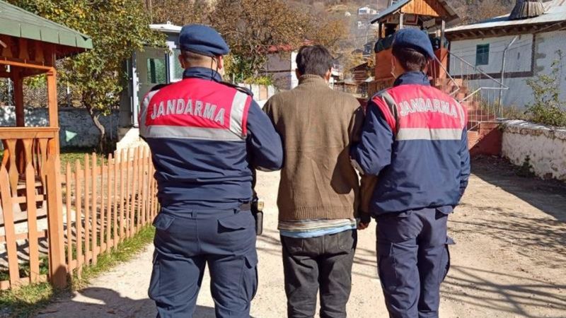 Artvin'de 49 düzensiz göçmen yakalandı