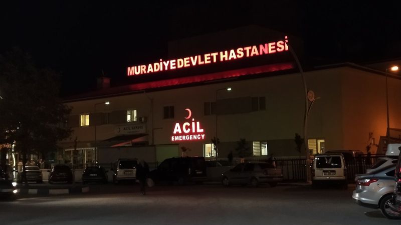 Van'daki küçük çocuk eniştesini vurarak öldürdü