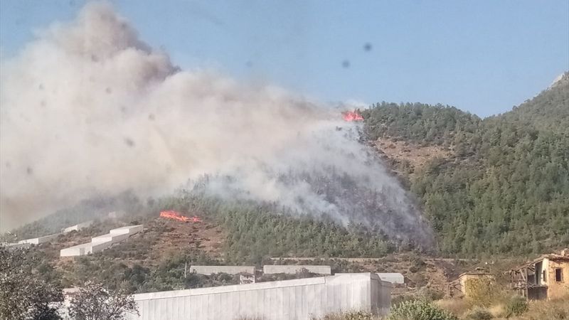 Mersin'de orman yangını