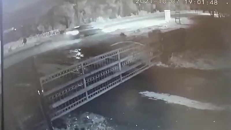 Kars'ta sokak hayvanlarına çarpan 3 sürücüye 1500'er TL ceza