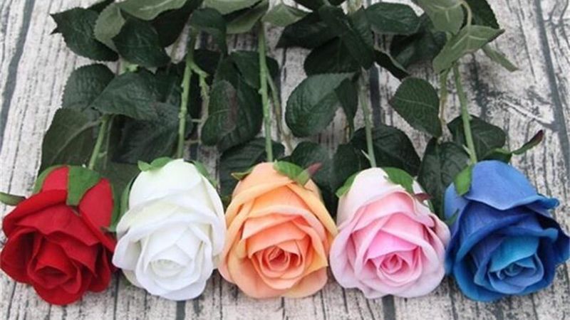 Yanlış anlaşılmayın: Renk ve sayılarına göre güllerin anlamları