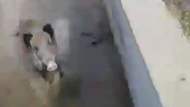 Elazığ'daki köylüler, yardım etmek istediği domuzun saldırısına uğradı