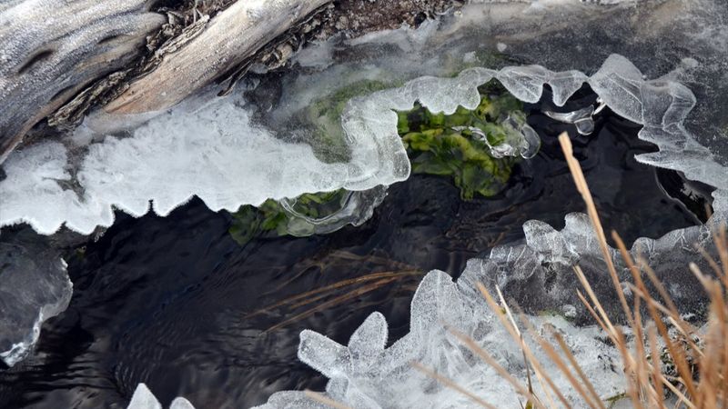 Kars'ta soğuk hava etkili oldu