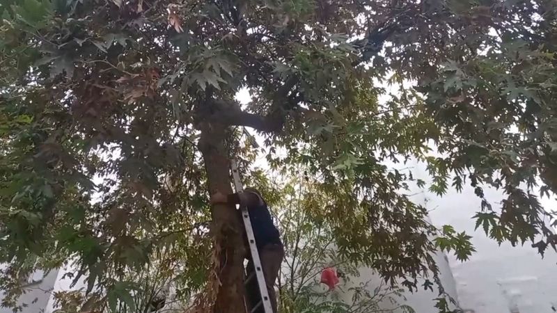 Şanlıurfalıların kedi kurtarma operasyonu