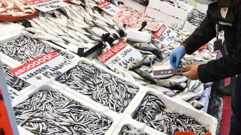 Vatandaşlara broşürlü balık uyarısı