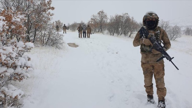 Bitlis'te Eren Kış-7 Operasyonu başladı