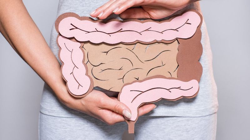 Bağırsak enfeksiyonlarını önlemenin 10 yolu