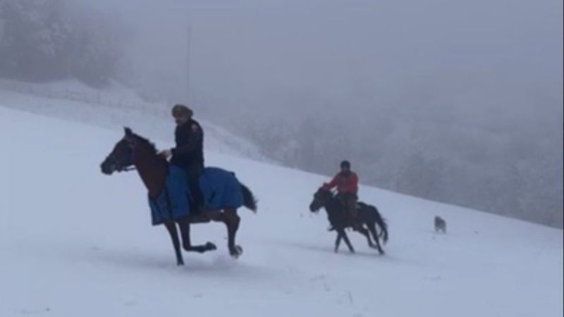 Tokat'ta karda atlı safari