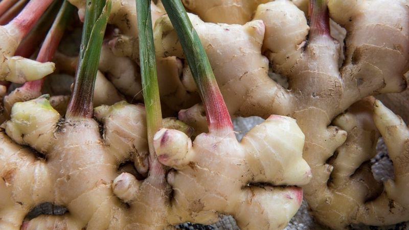 Romatizma ağrısına iyi gelen 6 süper besin