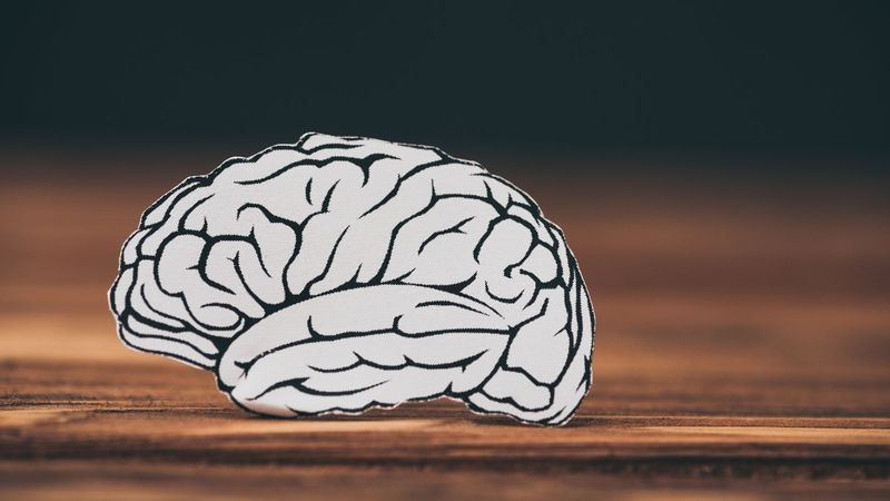 Gerçeği değiştiren 10 beyin tuzağı