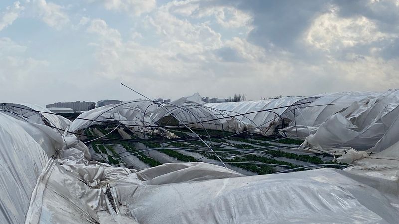 Antalya’da fırtına, çilek seralarını yerle bir etti