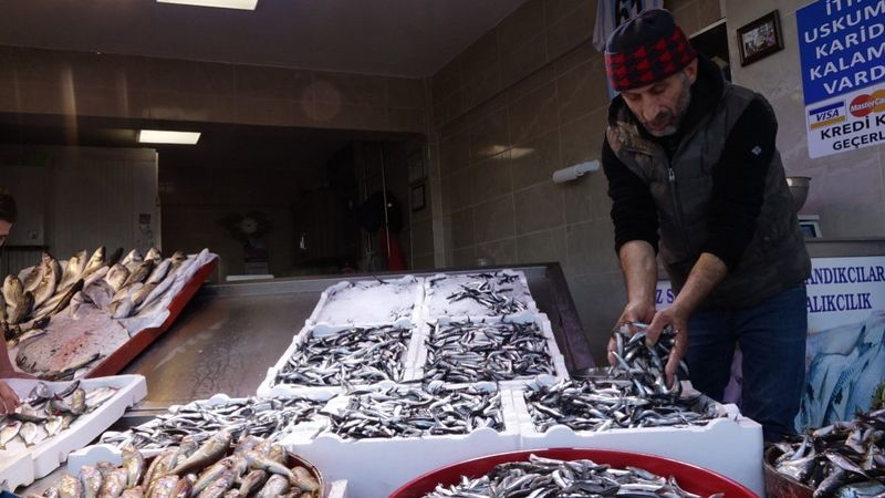 Karadeniz'de hamsinin kilosu 10 TL'den 40 TL'ye çıktı