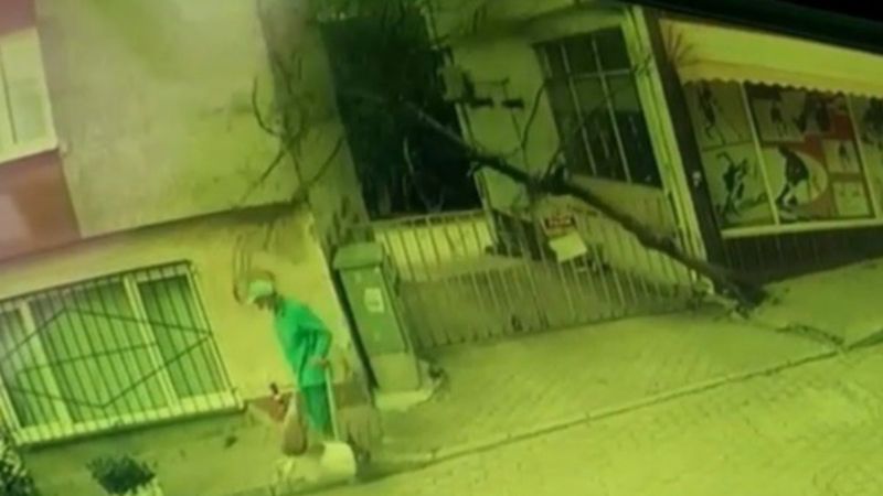 Bursa’da devrilen ağaçtan kıl payı kurtuldu