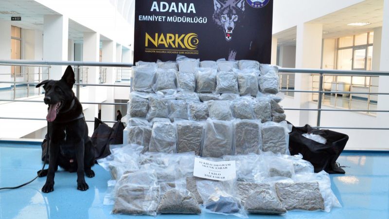 Adana’da 53 kilo esrarla yakalanan şoför: Eşya taşıyorum zannediyordum