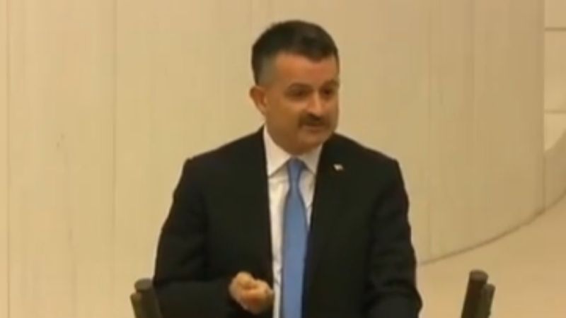 Bekir Pakdemirli: Yangınları biz çıkarmadık, söndürmek için canlar verdik