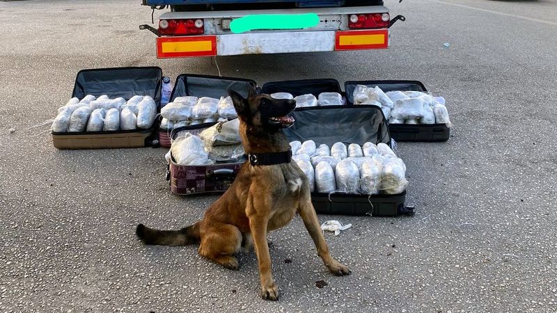 Adana’da, 65 kilo esrar ele geçirildi