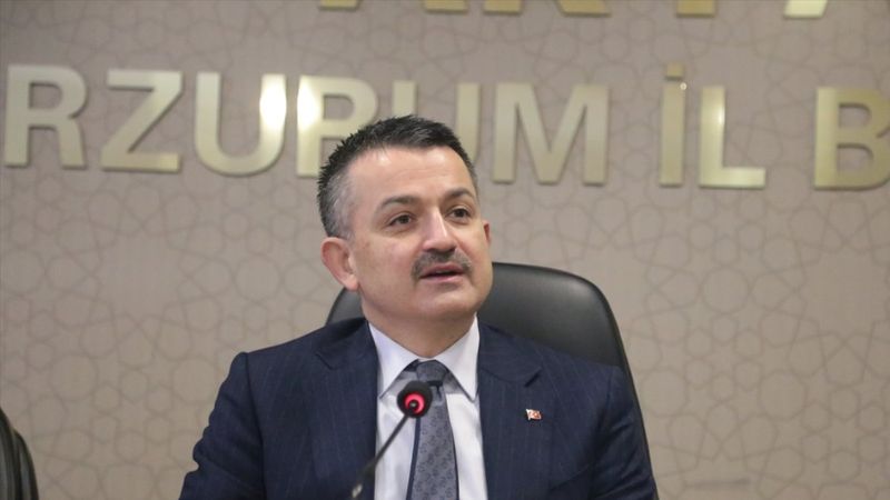 Bekir Pakdemirli: Türkiye'nin döviz dışında meselesi yok gibi