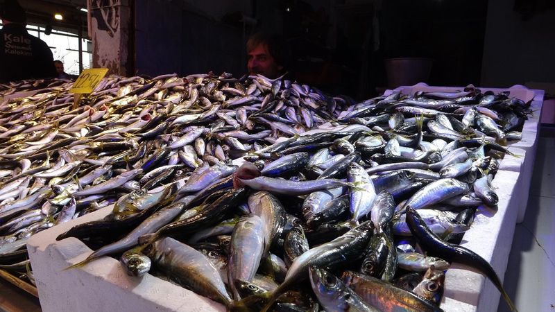 Trabzon'da hamsinin tezgahta fiyatı 60 lirayı gördü