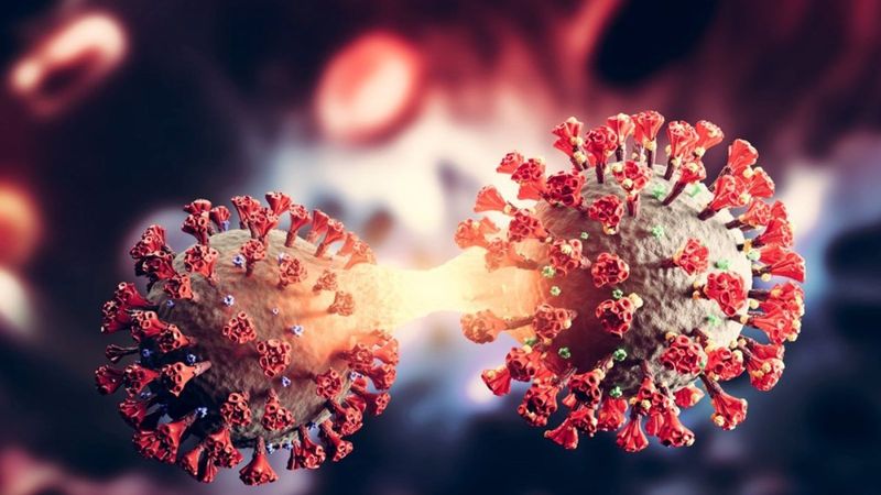 Sağlık Bakanlığı: Omicron varyantı, ülkemizde yakından takip ediliyor