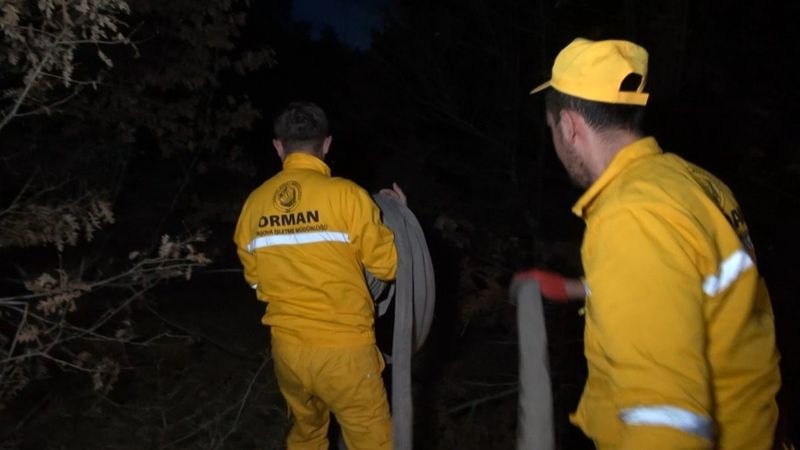 Tokat’ta orman yangını kontrol altına alındı