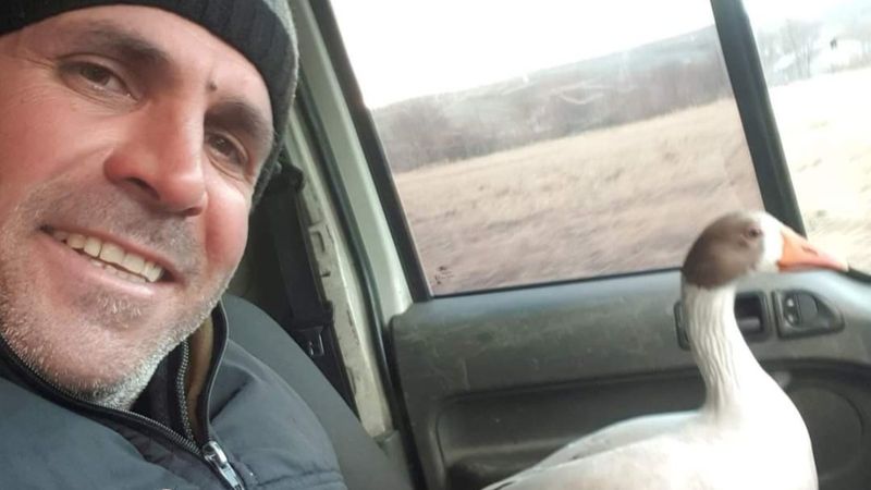 Elazığ'da kaz ile sohbeti görenleri güldürdü