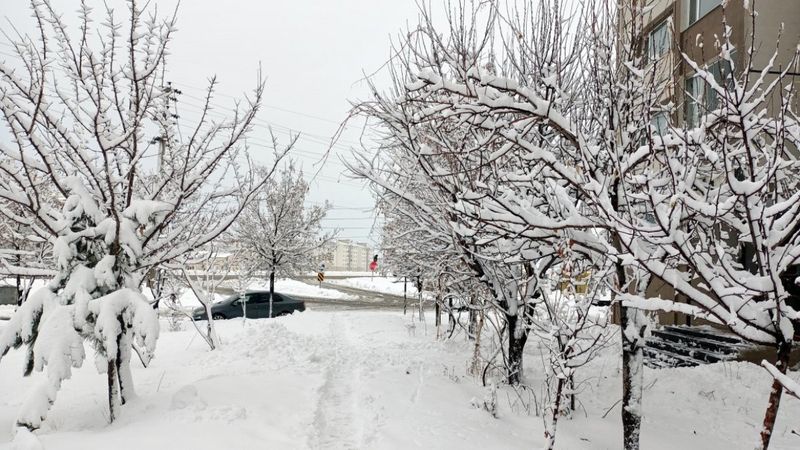 Bitlis ve Sivas'taki köy yollarına kar engeli