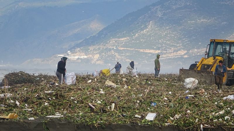 Hatay'da sahile vuran odunlar kışlık yakacakları oldu