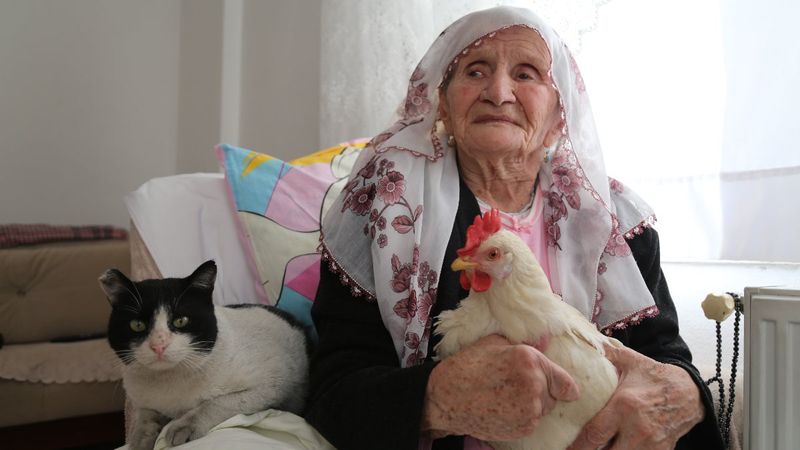Artvin'de hastalanan annelerine tavukla moral veriyorlar